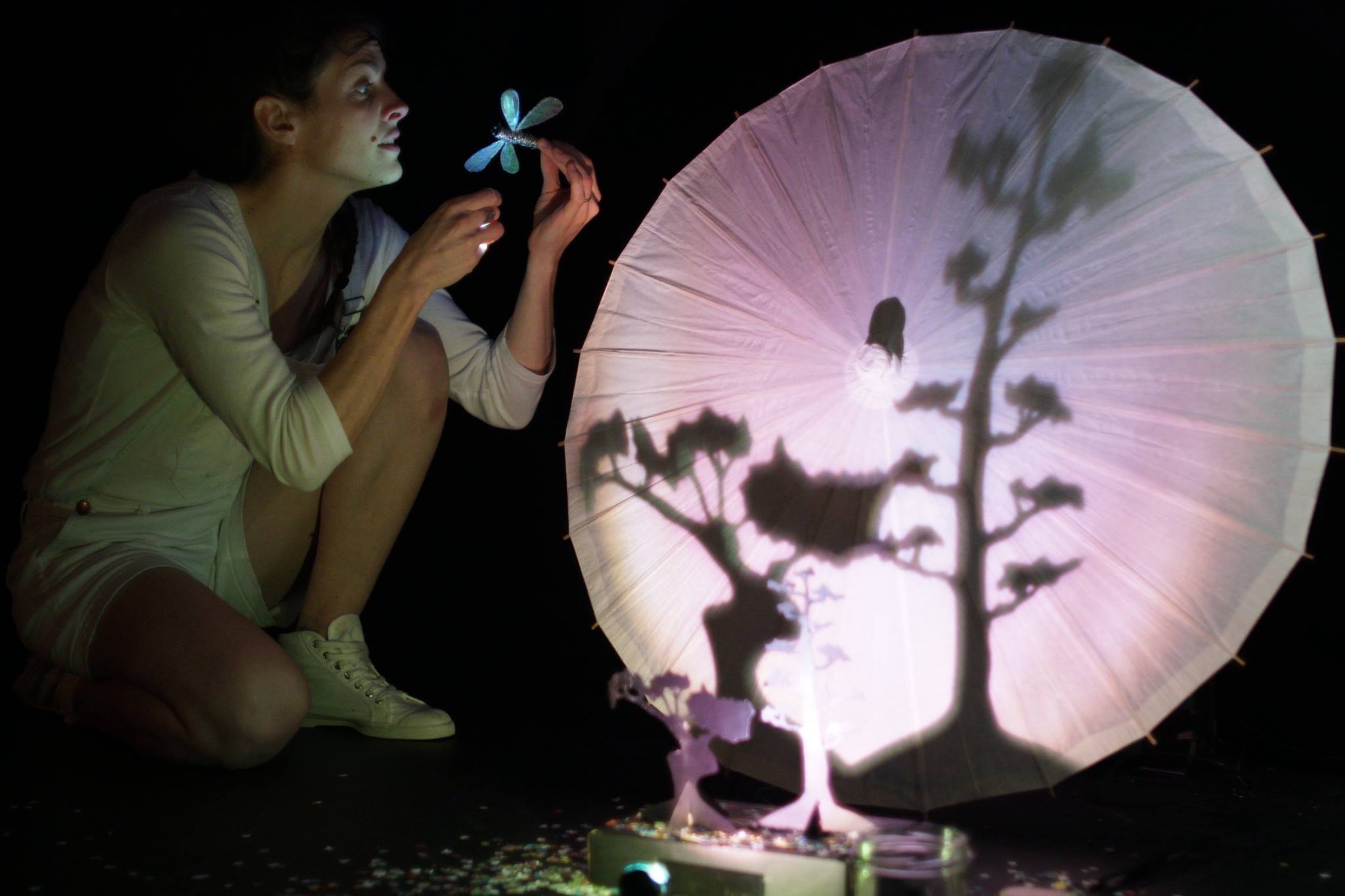 Photo du spectacle La libellule m'a dit de la compagnie de théâtre jeune public Conte en ombres